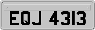 EQJ4313