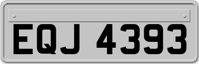 EQJ4393