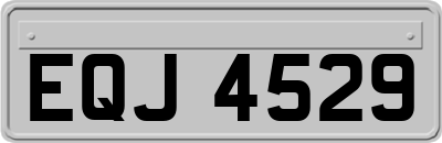 EQJ4529
