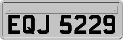 EQJ5229