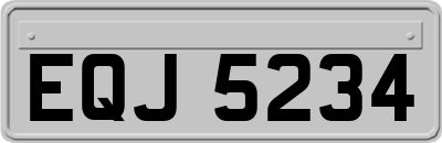 EQJ5234