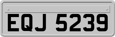 EQJ5239