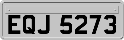 EQJ5273