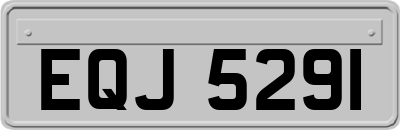 EQJ5291