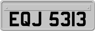 EQJ5313