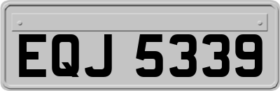 EQJ5339