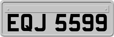 EQJ5599