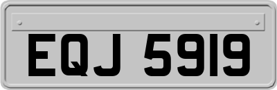EQJ5919