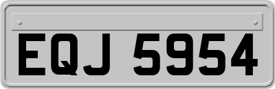 EQJ5954