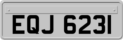 EQJ6231