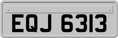 EQJ6313
