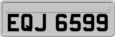 EQJ6599
