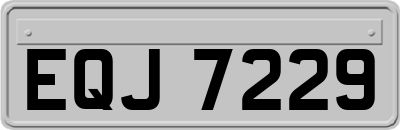EQJ7229