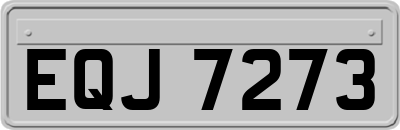 EQJ7273