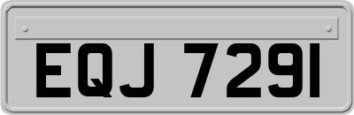 EQJ7291