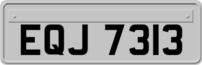 EQJ7313