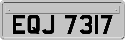 EQJ7317