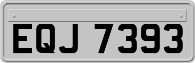 EQJ7393
