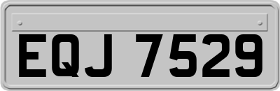 EQJ7529