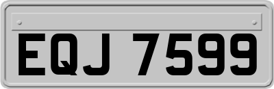 EQJ7599