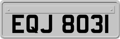 EQJ8031