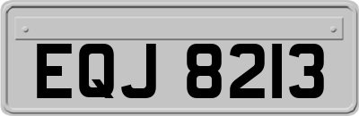 EQJ8213