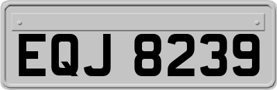 EQJ8239