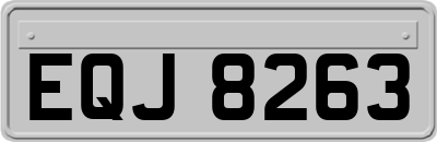 EQJ8263