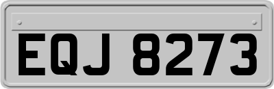 EQJ8273