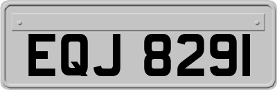 EQJ8291