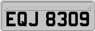 EQJ8309