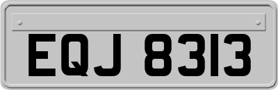 EQJ8313