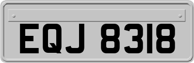 EQJ8318