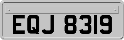 EQJ8319