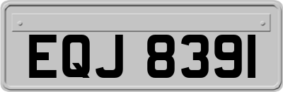 EQJ8391