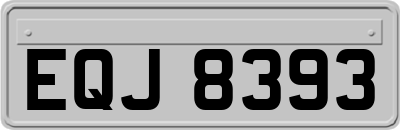 EQJ8393
