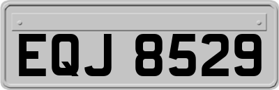 EQJ8529
