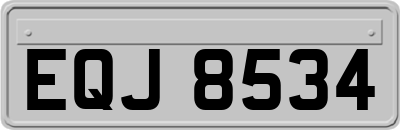 EQJ8534