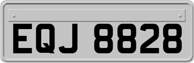 EQJ8828