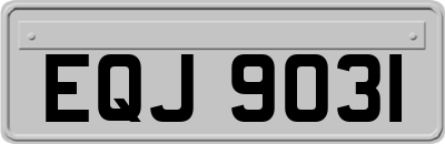EQJ9031