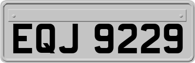 EQJ9229