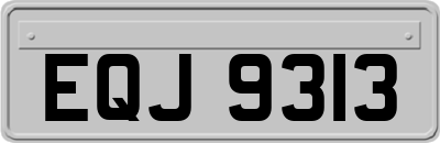 EQJ9313