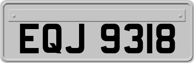 EQJ9318