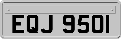EQJ9501