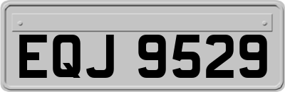 EQJ9529