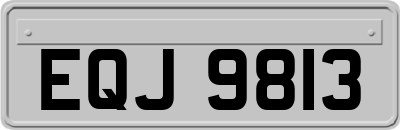 EQJ9813
