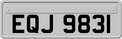 EQJ9831