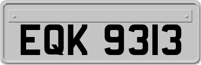 EQK9313