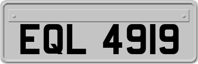 EQL4919