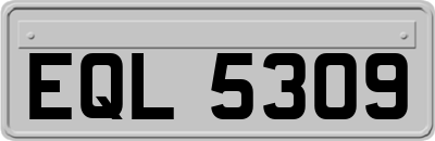 EQL5309